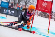 FIS Baltijas kauss 2024 5. posms, GS, Foto: E.Lukšo