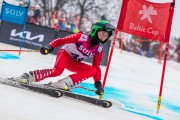 FIS Baltijas kauss 2024 5. posms, GS, Foto: E.Lukšo