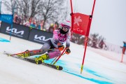 FIS Baltijas kauss 2024 5. posms, GS, Foto: E.Lukšo