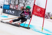 FIS Baltijas kauss 2024 5. posms, GS, Foto: E.Lukšo