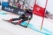 FIS Baltijas kauss 2024 5. posms, GS, Foto: E.Lukšo