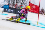 FIS Baltijas kauss 2024 5. posms, GS, Foto: E.Lukšo