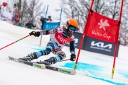 FIS Baltijas kauss 2024 5. posms, GS, Foto: E.Lukšo