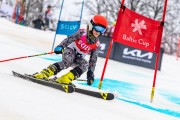 FIS Baltijas kauss 2024 5. posms, GS, Foto: E.Lukšo