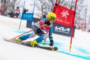 FIS Baltijas kauss 2024 5. posms, GS, Foto: E.Lukšo