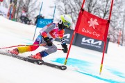 FIS Baltijas kauss 2024 5. posms, GS, Foto: E.Lukšo