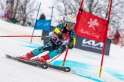 FIS Baltijas kauss 2024 5. posms, GS, Foto: E.Lukšo