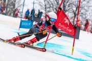 FIS Baltijas kauss 2024 5. posms, GS, Foto: E.Lukšo