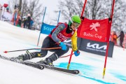 FIS Baltijas kauss 2024 5. posms, GS, Foto: E.Lukšo