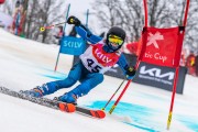 FIS Baltijas kauss 2024 5. posms, GS, Foto: E.Lukšo