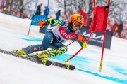 FIS Baltijas kauss 2024 5. posms, GS, Foto: E.Lukšo
