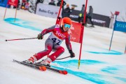 FIS Baltijas kauss 2024 5. posms, GS, Foto: E.Lukšo