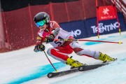 FIS Baltijas kauss 2024 5. posms, GS, Foto: E.Lukšo