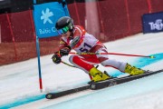 FIS Baltijas kauss 2024 5. posms, GS, Foto: E.Lukšo