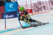 FIS Baltijas kauss 2024 5. posms, GS, Foto: E.Lukšo