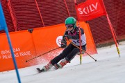 FIS Baltijas kauss 2024 5. posms, PSL, Foto: E.Lukšo