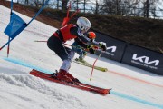 FIS Baltijas kauss 2024 5. posms, PSL, Foto: E.Lukšo