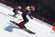 FIS Baltijas kauss 2024 5. posms, PSL, Foto: E.Lukšo