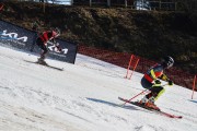 FIS Baltijas kauss 2024 5. posms, PSL, Foto: E.Lukšo