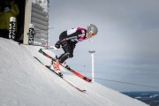 FIS Baltic Cup 2018 3. posms, Igaunijas Čempionāts slalomā, Foto: Emīls Lukšo