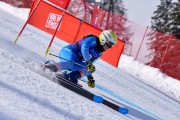 FIS Pozza di Fassa, FIS GS, Foto: E.Lukšo