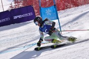 FIS Pozza di Fassa, FIS GS, Foto: E.Lukšo