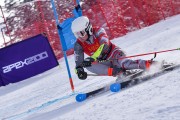 FIS Pozza di Fassa, FIS GS, Foto: E.Lukšo