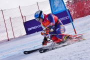 FIS Pozza di Fassa, FIS GS, Foto: E.Lukšo