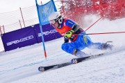 FIS Pozza di Fassa, FIS GS, Foto: E.Lukšo