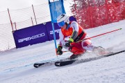 FIS Pozza di Fassa, FIS GS, Foto: E.Lukšo