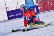 FIS Pozza di Fassa, FIS GS, Foto: E.Lukšo