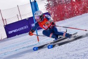 FIS Pozza di Fassa, FIS GS, Foto: E.Lukšo