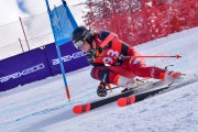 FIS Pozza di Fassa, FIS GS, Foto: E.Lukšo