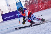 FIS Pozza di Fassa, FIS GS, Foto: E.Lukšo