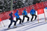 FIS Pozza di Fassa, FIS GS, Foto: E.Lukšo