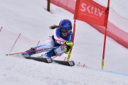 FIS Pozza di Fassa, FIS GS, Foto: E.Lukšo