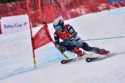 FIS Pozza di Fassa, FIS GS, Foto: E.Lukšo