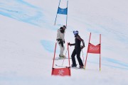 FIS Pozza di Fassa, FIS GS, Foto: E.Lukšo