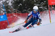 FIS Pozza di Fassa, FIS GS, Foto: E.Lukšo