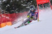 FIS Pozza di Fassa, FIS GS, Foto: E.Lukšo