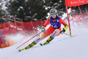 FIS Pozza di Fassa, FIS GS, Foto: E.Lukšo