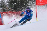 FIS Pozza di Fassa, FIS GS, Foto: E.Lukšo