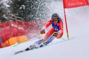 FIS Pozza di Fassa, FIS GS, Foto: E.Lukšo