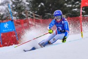 FIS Pozza di Fassa, FIS GS, Foto: E.Lukšo