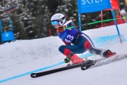 FIS Pozza di Fassa, FIS GS, Foto: E.Lukšo