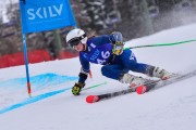 FIS Pozza di Fassa, FIS GS, Foto: E.Lukšo