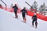 FIS Pozza di Fassa, FIS GS, Foto: E.Lukšo