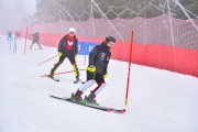 FIS Pozza di Fassa, FIS SL, Foto: E.Lukšo