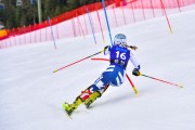 FIS Pozza di Fassa, FIS SL, Foto: E.Lukšo