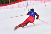 FIS Pozza di Fassa, FIS SL, Foto: E.Lukšo